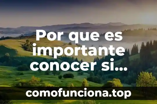 Que es conocer siglas 8 Por que es importante conocer si existen o no exis