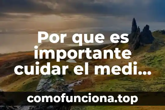 Por que es importante la lectura en la vida 7 Por que es importante cuidar el medi ambiente