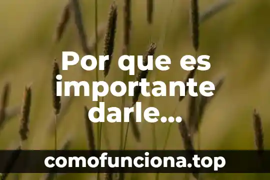 Que es necesario darle mantenimiento en una computadora 4 Por que es importante darle independecia a los adultos mayores