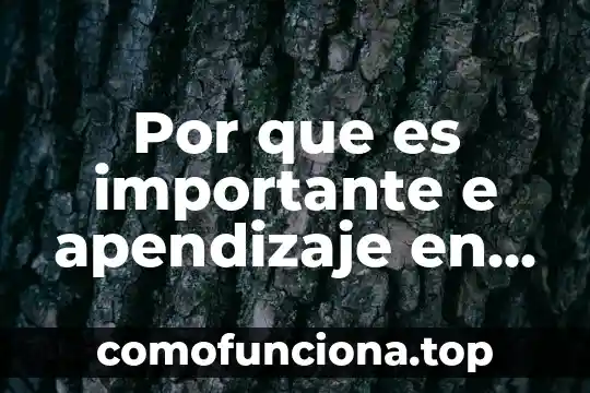 Por que es importante el request for comments 3 Por que es importante e apendizaje en el ser