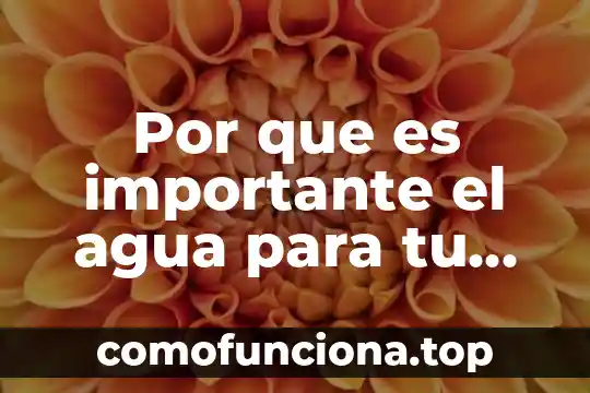 Que es ser tu debilidad 6 Por que es importante el agua para tu cuerpo