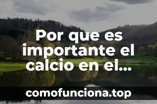 Que es la capacidad funcional en el adulto mayor 8 Por que es importante el calcio en el adulto mayor