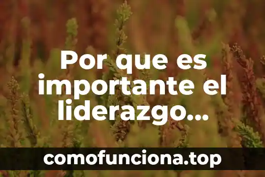 Qué es liderazgo y tipos 4 Por que es importante el liderazgo organizacional slindeshare