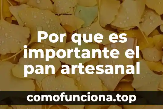 Por que es importante cambiar la constitución 6 Por que es importante el pan artesanal