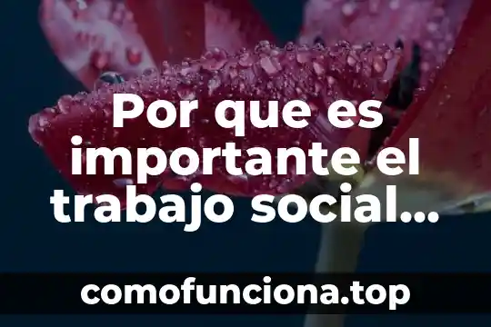 Que es ser adolescente segun los psicologos 3 Por que es importante el trabajo social de los psicólogos