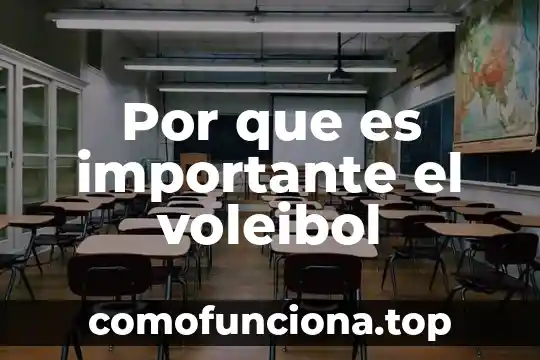Por que es una figura importante stalin 6 Por que es importante el voleibol