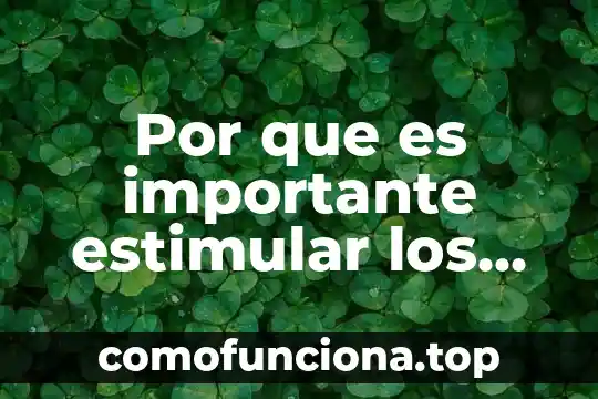 Por que es importante cambiar la constitución 5 Por que es importante estimular los conflictos