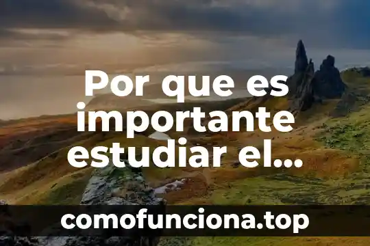 Por que es importante las necesidades fisiológicas 4 Por que es importante estudiar el castellano