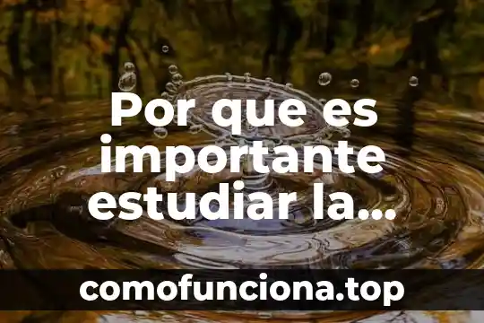 Por que es importante estudiar los valores 4 Por que es importante estudiar la micologia
