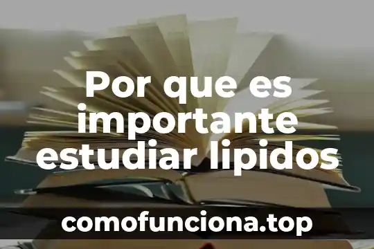 Que es la justicia de mexico 4 Por que es importante estudiar lipidos