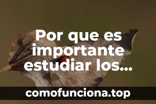 Por que es importante estudiar la micologia 3 Por que es importante estudiar los valores