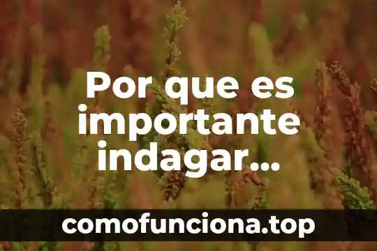 Motivos por los que es importante decir la verdad 3 Por que es importante indagar conocimientos previos de los alumnos