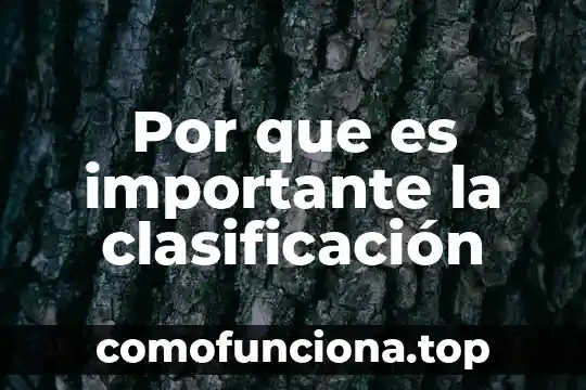 Para que es importante la cultura general Yahoo 7 Por que es importante la clasificación