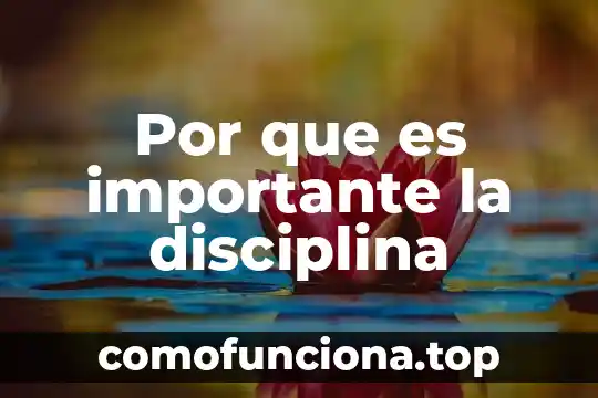 Que es la disciplina del movimiento 8 Por que es importante la disciplina