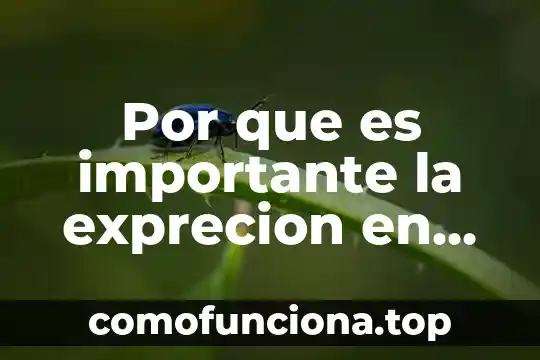 Nombre en ingles para gente que es de baja sociedad 6 Por que es importante la exprecion en ingles