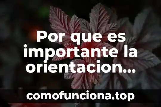Por que es importante cambiar la constitución 8 Por que es importante la orientacion educativa