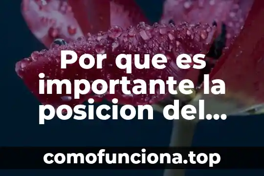 Qué es un número decimal periódico fracción mixta 8 Por que es importante la posicion del punto decimal