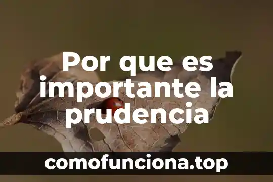 Por que es importante la lectura en la vida 3 Por que es importante la prudencia