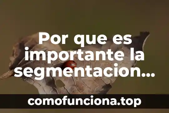 Por que es importante cumplir con tus obligaciones como contribuyente 7 Por que es importante la segmentacion del mercado