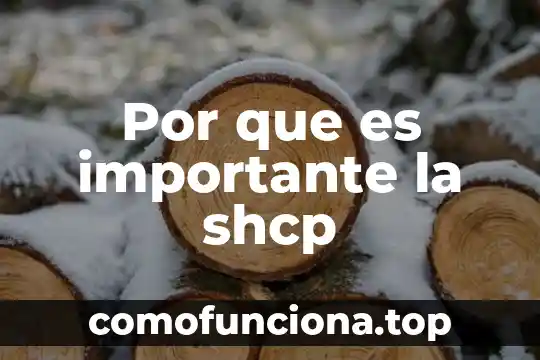Por que es importante ser un pais innovador 5 Por que es importante la shcp