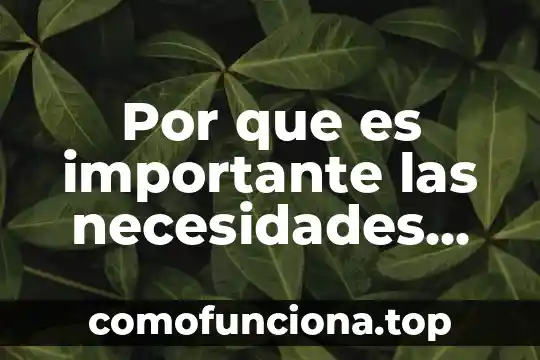 Por que es importante la polarizacion de un diodo 3 Por que es importante las necesidades fisiol贸gicas