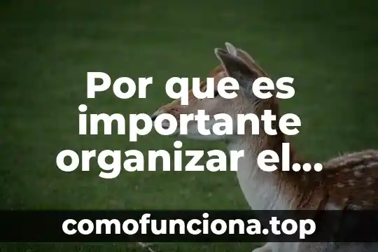 Que es una tabla para organizar informacion 3 Por que es importante organizar el tiempo