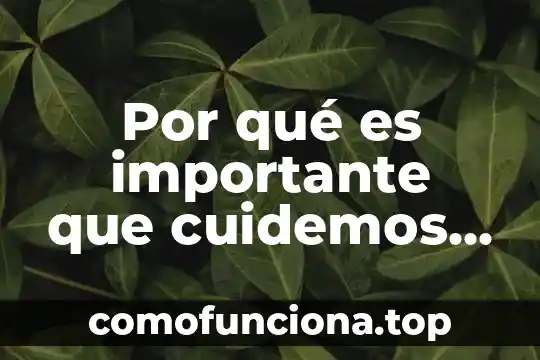 Que es mas importante la libertad o la vida 3 Por qué es importante que cuidemos el ambiente