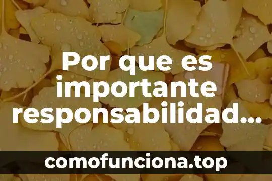 Por que es importante la lectura en la vida 8 Por que es importante responsabilidad social