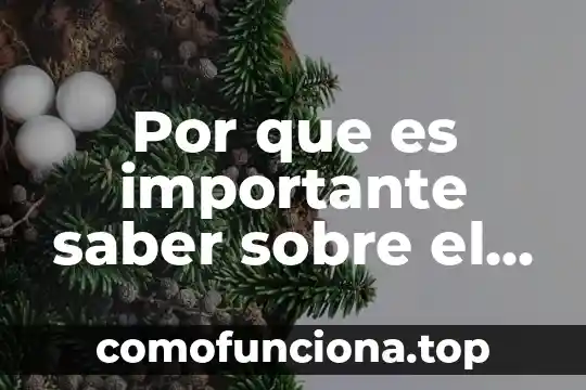 Qué es marco pedagógico en las tesis 7 Por que es importante saber sobre el ciclo celular
