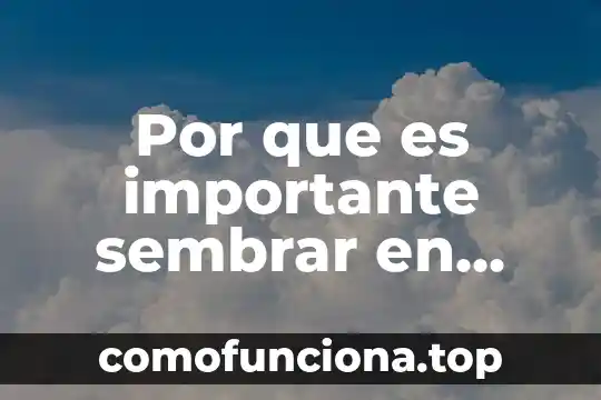 Por que es una figura importante stalin 8 Por que es importante sembrar en primavera