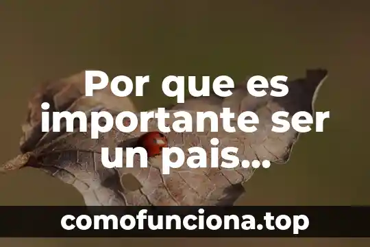 Que es mas importante la dieta o el entrenamiento 3 Por que es importante ser un pais innovador