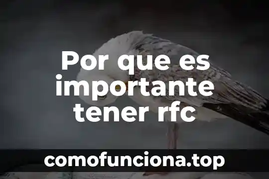 Rfc que es mexico 8 Por que es importante tener rfc