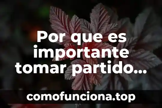 Por que es importante cumplir con tus obligaciones como contribuyente 8 Por que es importante tomar partido en una causa social