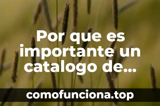 Catalogo de cuentas de una empresa industrial que es 3 Por que es importante un catalogo de productos
