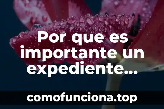 Por que es una figura importante stalin 4 Por que es importante un expediente odontologico