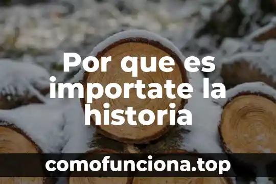 Que es mejor pozo ciego o biodigestor 4 Por que es importate la historia