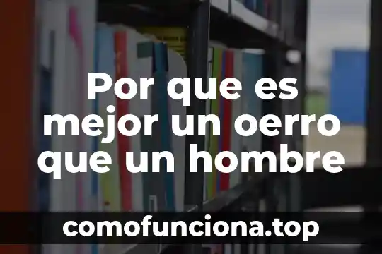 Que es h en los valores densitometricos 5 Por que es mejor un oerro que un hombre