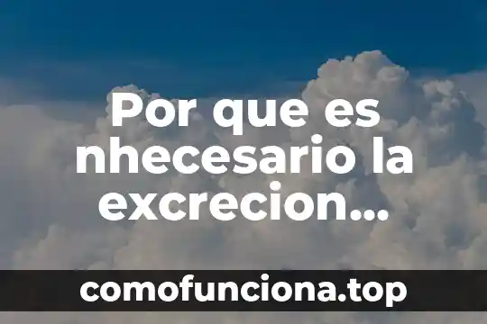 ¿Qué es cíclico en filosofía? 7 Por que es nhecesario la excrecion celular