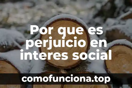Que es interes e interes compuesto en termino matemático 6 Por que es perjuicio en interes social