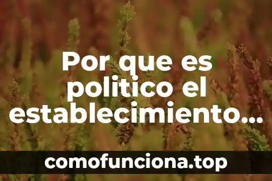 Que es mercado popular 3 Por que es politico el establecimiento de la republica popular