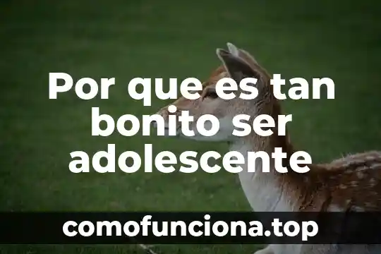 Que es concepto bonito 4 Por que es tan bonito ser adolescente