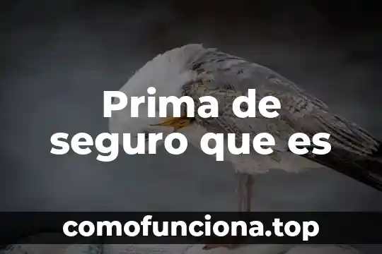 Qué es materia prima definición 8 Prima de seguro que es