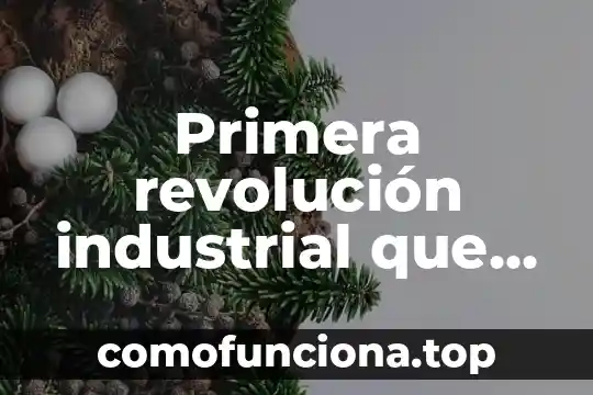 Que es la nueva revolucion cientifica 5 Primera revolución industrial que es