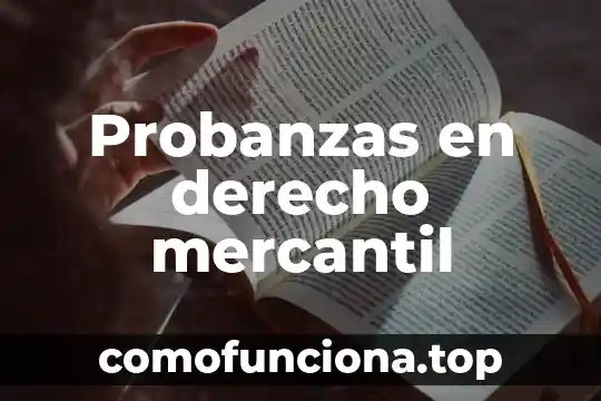 Que es el patrimonio en derecho segun autores 8 Probanzas en derecho mercantil