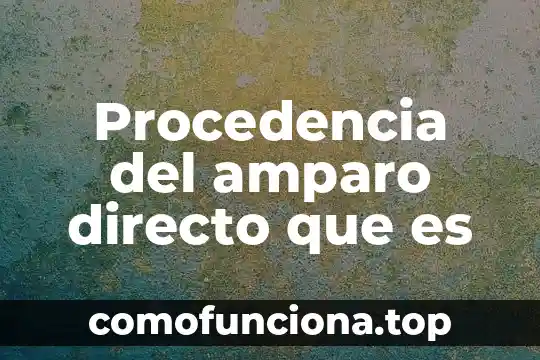 Que es la acción en materia de amparo 5 Procedencia del amparo directo que es