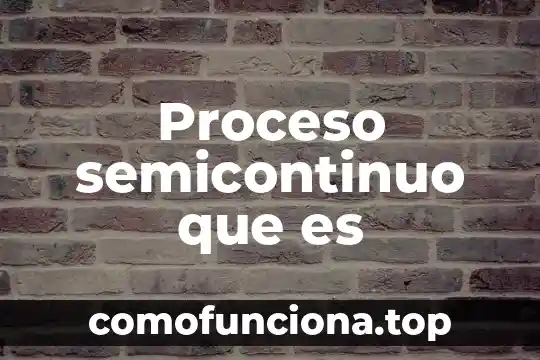 Que es el proceso de pensamiento flexible 3 Proceso semicontinuo que es