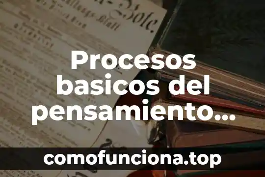 Que es los elentos de los procesos educativos 3 Procesos basicos del pensamiento caracteristicas esenciales que es