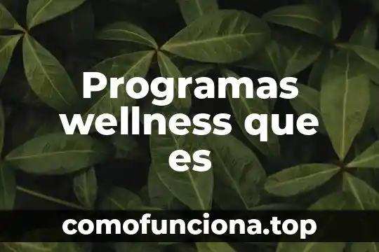 Qué es un programas asistencialista 4 Programas wellness que es