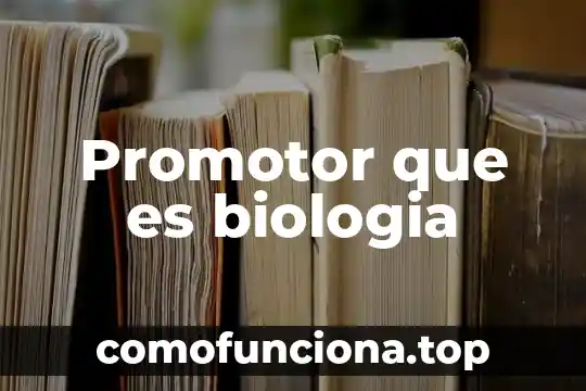 Que es firma en economia 8 Promotor que es biologia