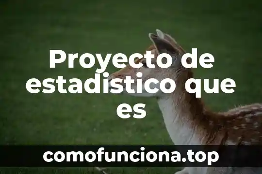 Para qué es importante hacer un proyecto de vida 3 Proyecto de estadistico que es